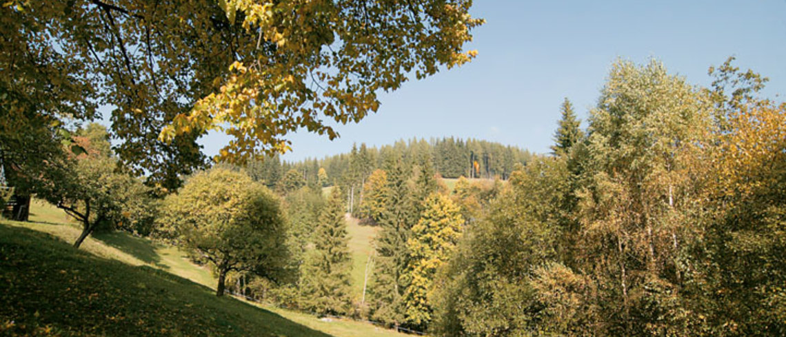 Herbstlandschaft in Fischbach