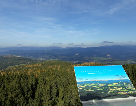 Aussicht von der Wildwiesen Warte (c) Steininger