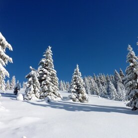 Wunderschön und tief verschneite Winterlandschaft in Fischbach.