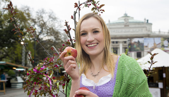 Steiermark Frühling (c) Steiermark Tourismus, Jürgen Hammerschmid