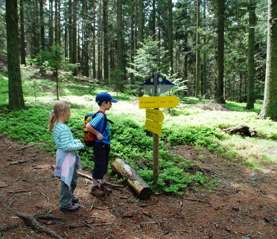 Familienwanderungen Steiermark