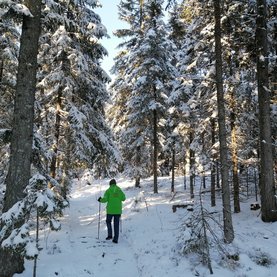 Winterwandern