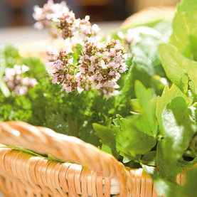 Kräuter aus dem eigenem Garten