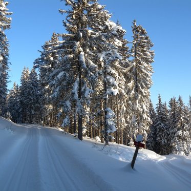 Teufelstein Wanderloipe