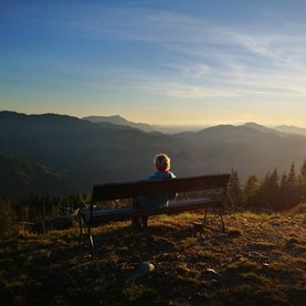 Den Herbst genießen