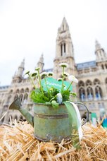 Steiermark Frühling in Wien