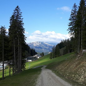 Pilgerweg Mariazeller Weg 06