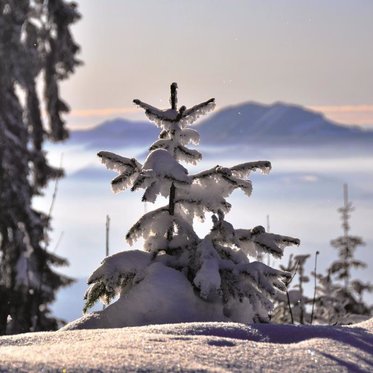 Winterwohlfühltage