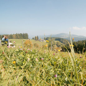 Fischbach Landschaft