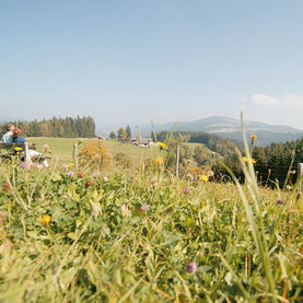 Landschaft - Fischbach