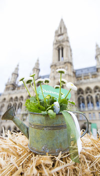 Steiermark Frühling in Wien (c) Steiermark Tourismus, Jürgen Hammerschmid