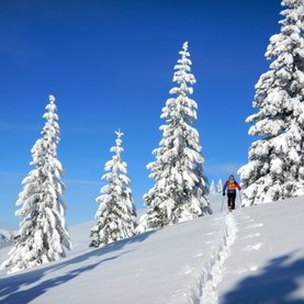 Winter in Fischbach