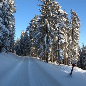 Wanderloipe Teufelstein