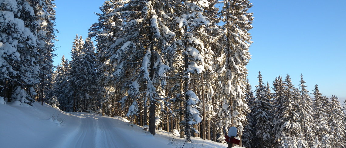 Teufelsteinrunde