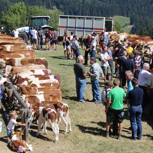 Ägydimarkt in Fischbach (c) Sommersguter