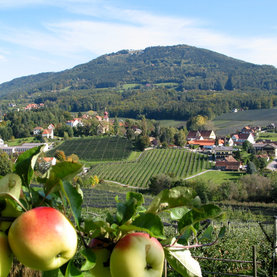 Steirische Apfelstraße