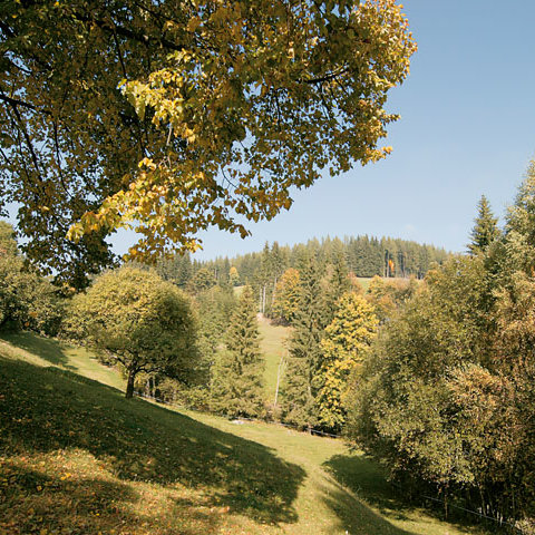 Landschaft Fischbach