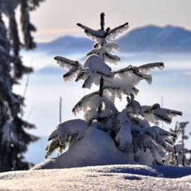 Winterimpressionen Fischbach