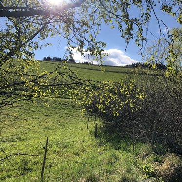 Drachensitz und Ägydiuskapelle