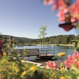 Frühling in Fischbach