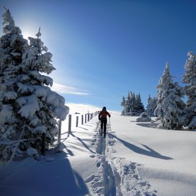 Winterwandern in Fischbach