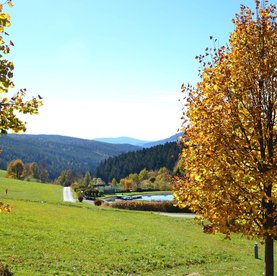 Goldener Herbst in Fischbach