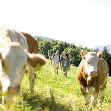 Wandern in der Steiermark