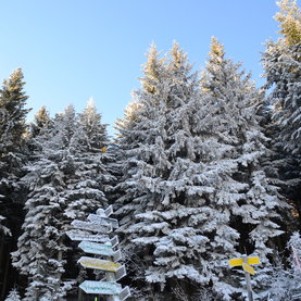 Winter Kraft tanken