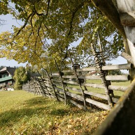 Goldener Herbst in Fischbach