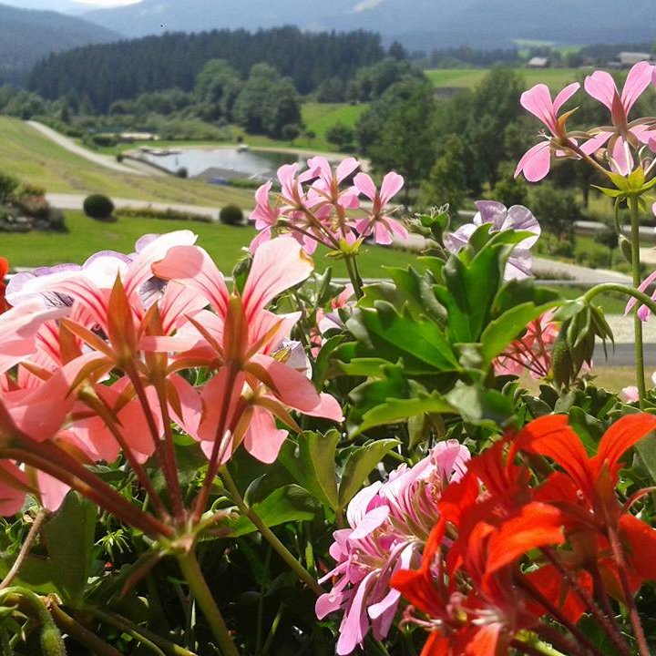 Blumenschmuck in Fischbach