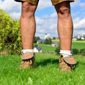 Wandern in Fischbach