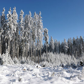 Winterlandschaft Fischbach
