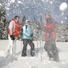 Winterwandern Fischbach