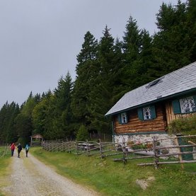 Wanderung alpanonnia Hochwechsel