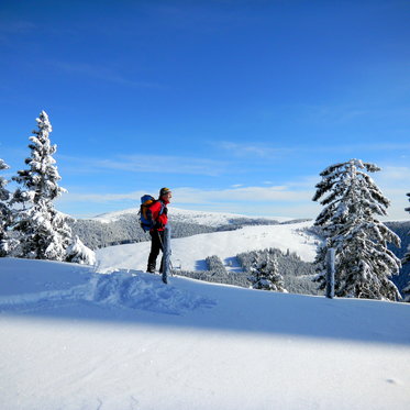 Märchenwiese und Reithkogel