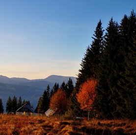 Herbst in Fischbach