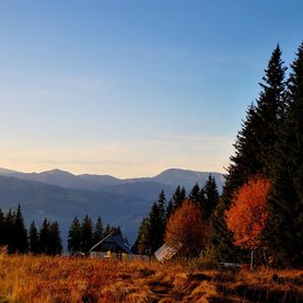 Herbst in Fischbach