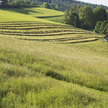 Bildergalerie Natur & Aktiv