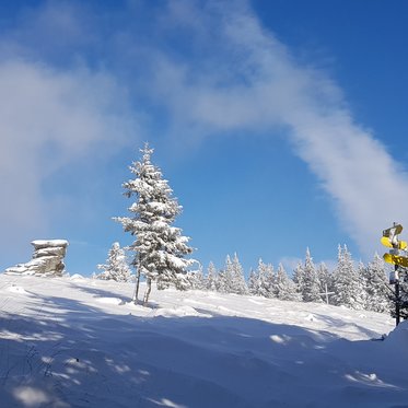 Teufelstein im Winter