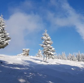 Langlaufen am Teufelstein