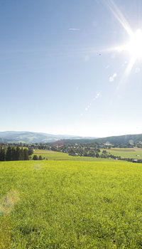 Die Waldheimat erleben