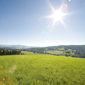 Landschaft Oststeiermark