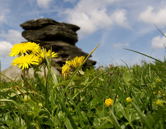 Teufelstein (c) Andreas Steininger