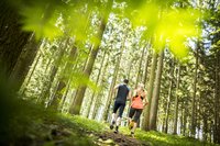 Wald als Erholungsraum