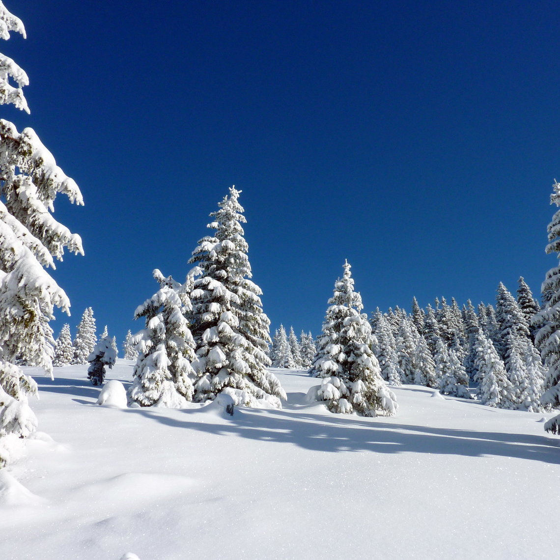 Winter in den Fischbacher Alpen