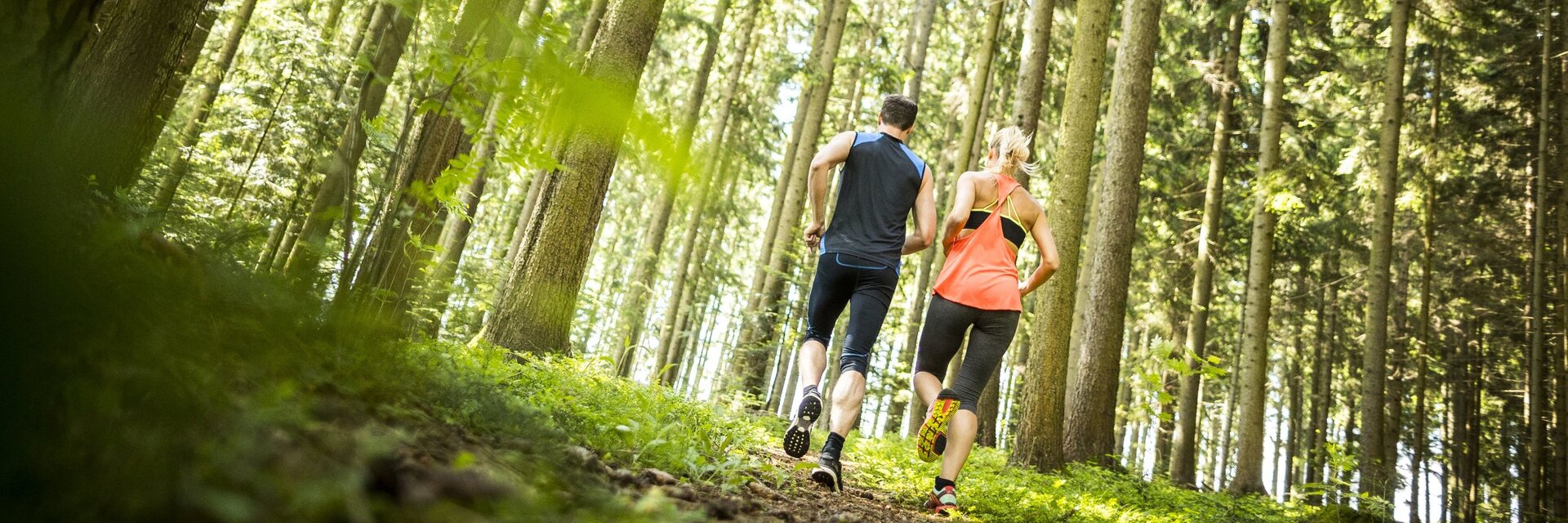 Laufen im Wald
