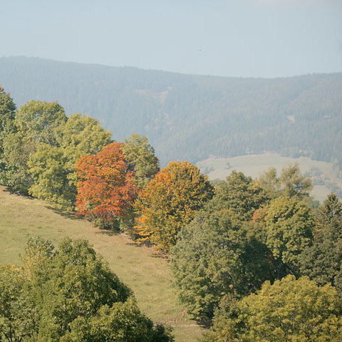 Joglland-Waldheimat - Oststeiermark