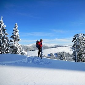 Winterwandern, Skitouren Fischbacher Alpen