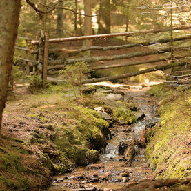 Fischbach Landschaft