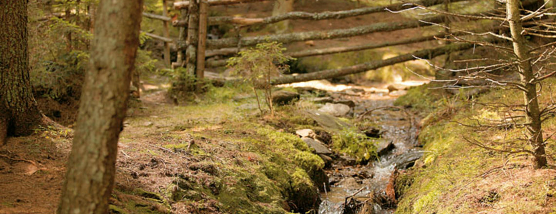 Peter Roseggers Waldheimat